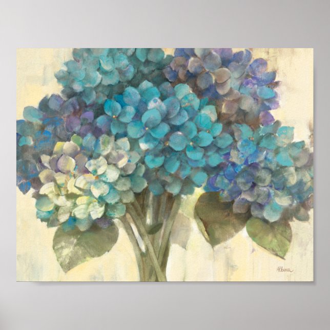 Poster Turquoise hydrangea (Devant)
