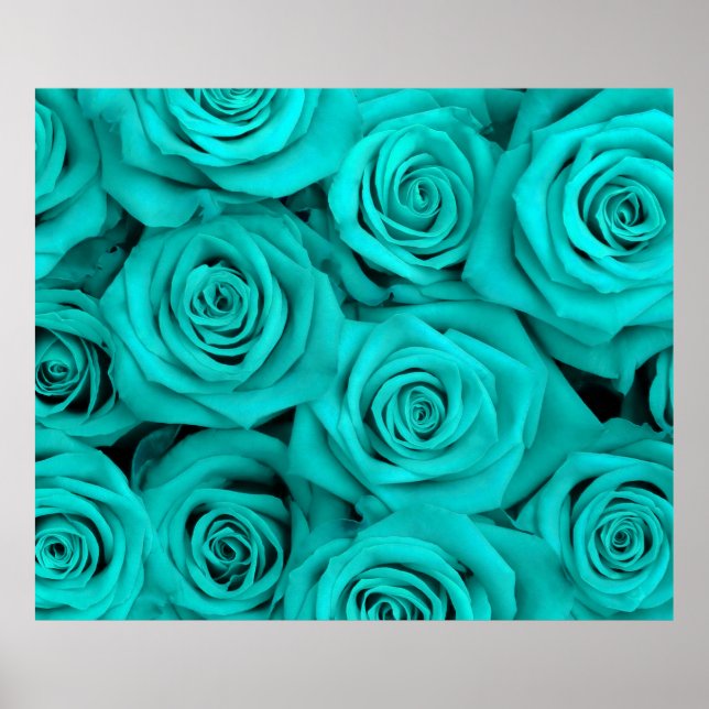 Poster Turquoise Spectaculaire Roses (Devant)