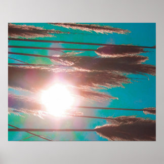 Poster "TurquoiseMidday"