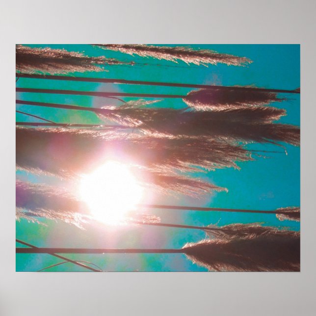 Poster "TurquoiseMidday" (Devant)
