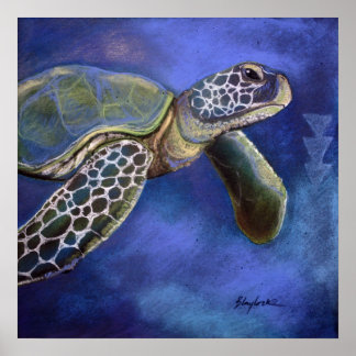 Poster Turtle Blues