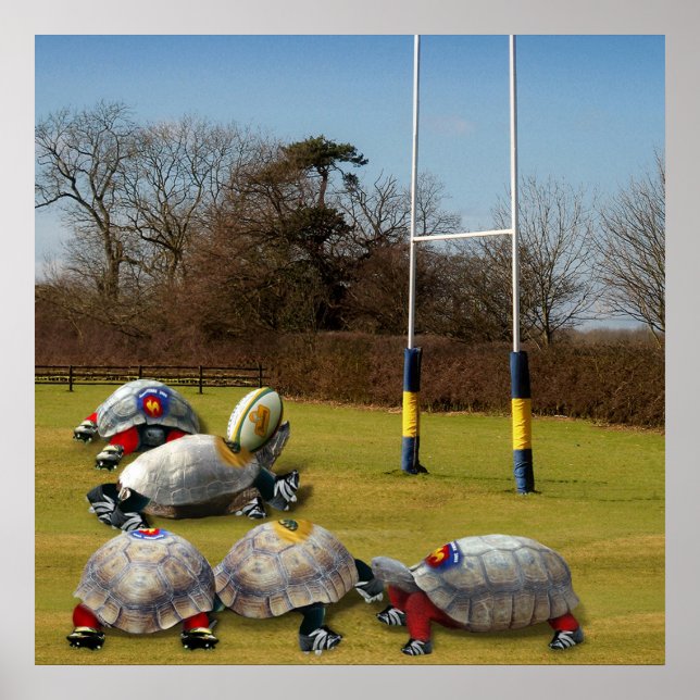 Poster Turtle Rugby (Devant)