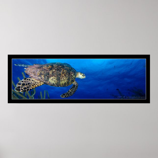 Poster Turtle Seascape (Devant)