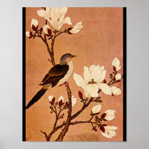 Poster Turtledove sur Flower Branch_L'Orient