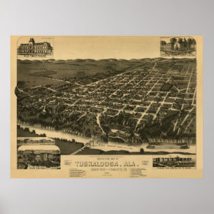 Poster Tuscaloosa, AL Panoramic Map Vintage 1887