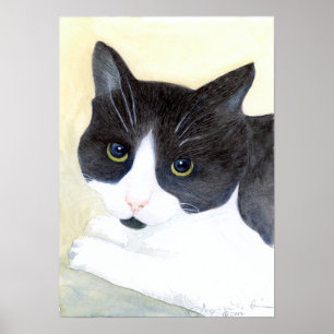 Poster Tuxedo