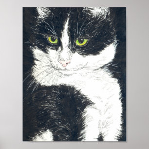Poster Tuxedo
