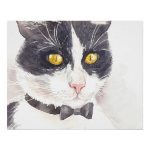 Poster Tuxedo