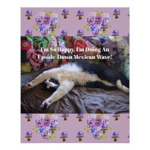Poster Tuxedo Cat Funny Cute faire une citation d'onde me