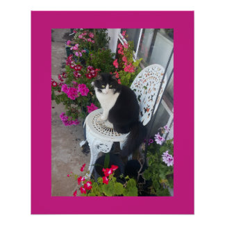 Poster Tuxedo Cat Maroon Dark Pink Cats and Flowers