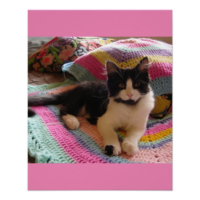 Poster Tuxedo Cat mignonne avec jolie Crochet tapis Fille (Devant)
