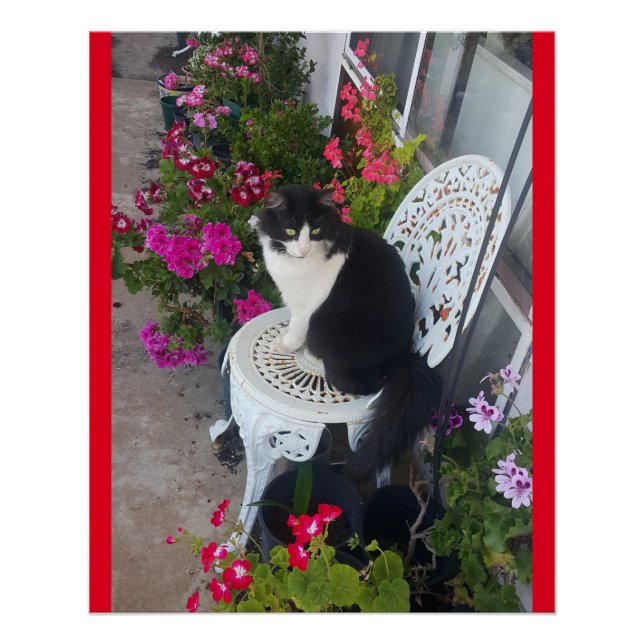 Poster Tuxedo Chat Cute Jolie Fleurs Chats Carte d'Annive (Devant)