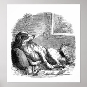 Poster Tuyau de 11 po x 8,5 po, Papier d'affiche (mat)