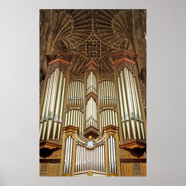 Poster Tuyaux d'organes (1) (Devant)