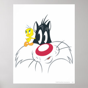 Poster TWEETY™ En action Pose 12