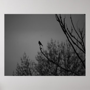 Poster Twilight Bird