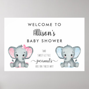 Poster Twin Boy Girl Elephant Baby shower Bienvenue