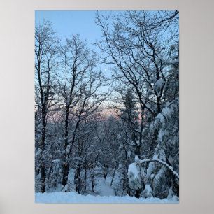 Poster Twin Peaks Snowy Moon