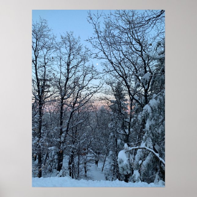 Poster Twin Peaks Snowy Moon (Devant)