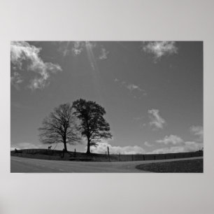 Poster Twin Trees Mountain Meadow