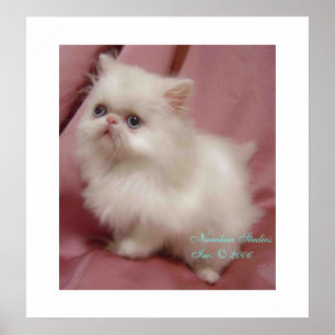 POSTER TWINKLE PETIT ÉTOILE