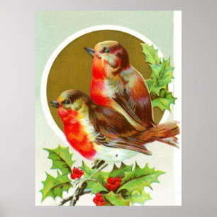 Poster Two Christmas robins
