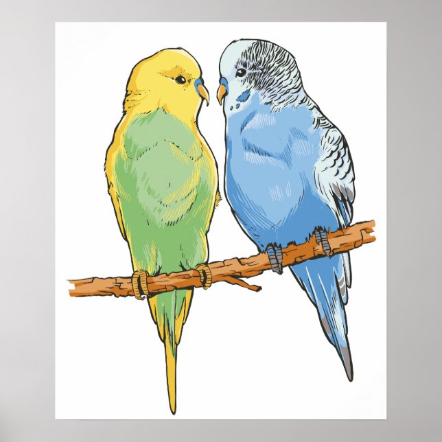 Poster Two cute bleu et green Budgies (Devant)