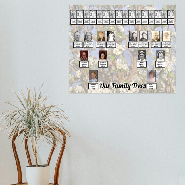 Poster Two Family Trees on White Blossoms Photo     (Créateur téléchargé)