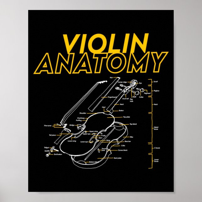 Poster Twoset Violin Violin Anatomy Drawing Diagram Limit (Devant)