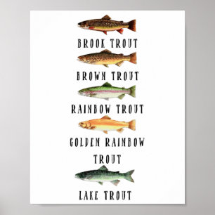 Poster Types de chemises d'espèces de truites drôles de t