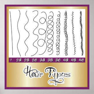 Poster Types de cheveux1