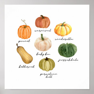 Poster types de citrouilles