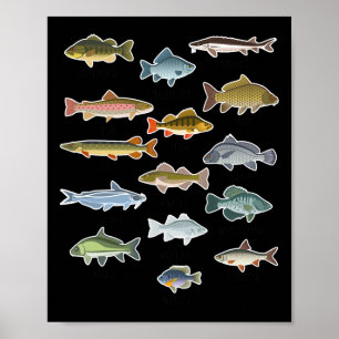 Poster Types de pêche de poissons d'eau douce