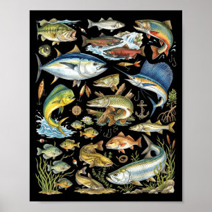 Poster Types d'espèces de poissons d'eau douce et d'eau s