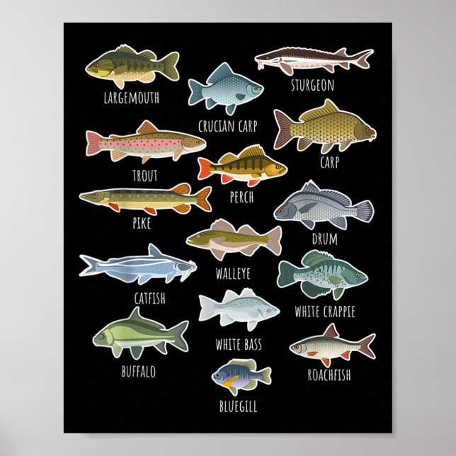 Poster Types D'Espèces De Poissons D'Eau Douce Pêche (Devant)