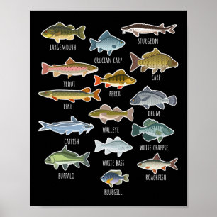 Poster Types d'espèces de poissons d'eau douce Pêche