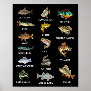 Poster Types D'Espèces De Poissons D'Eau Douce Pêcheur