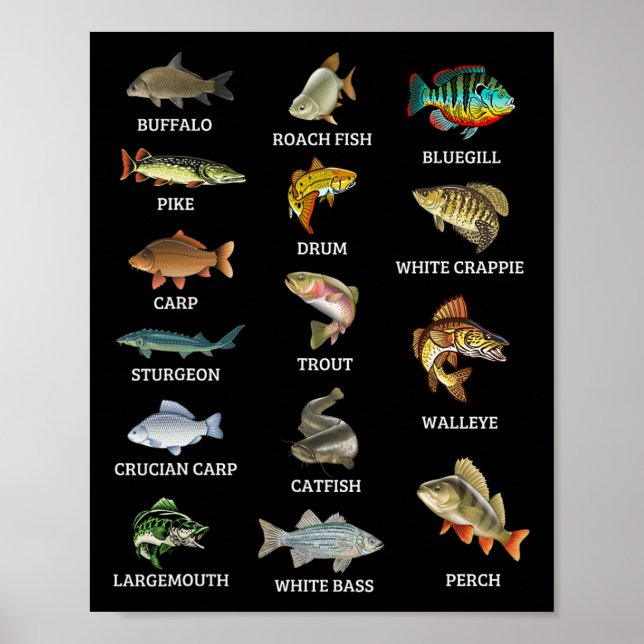 Poster Types D'Espèces De Poissons D'Eau Douce Pêcheur (Devant)