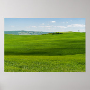 Poster Typical Tuscany Landscape
