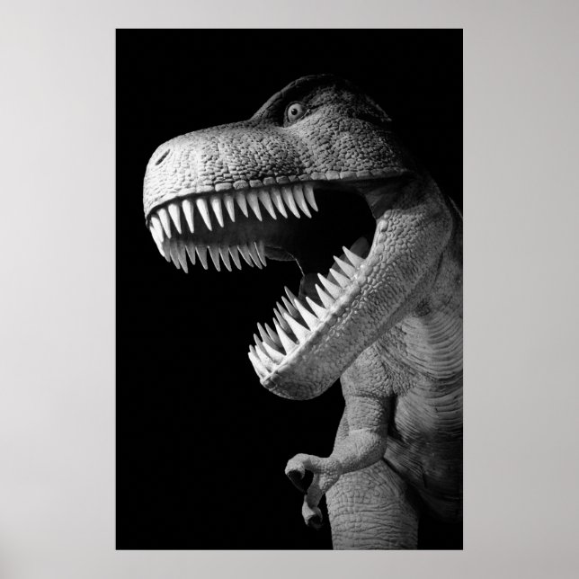 Poster Tyrannosaurus Rex (Devant)