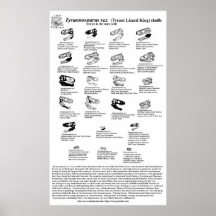 Poster Tyrannosaurus rex