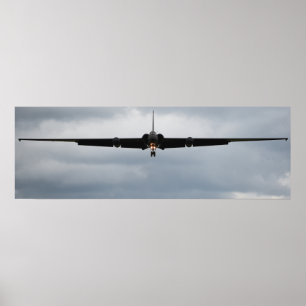 Poster U-2 "Dame Dragon"