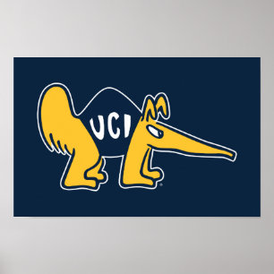 Poster UC Irvine   Anteaters UCI