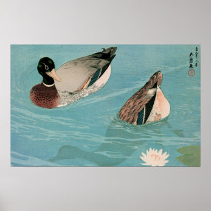 Poster Ukiyoe [Goyo] Canards (S)