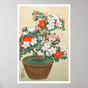 Poster Ukiyoe [Koson] Azalea in Pot (XS)