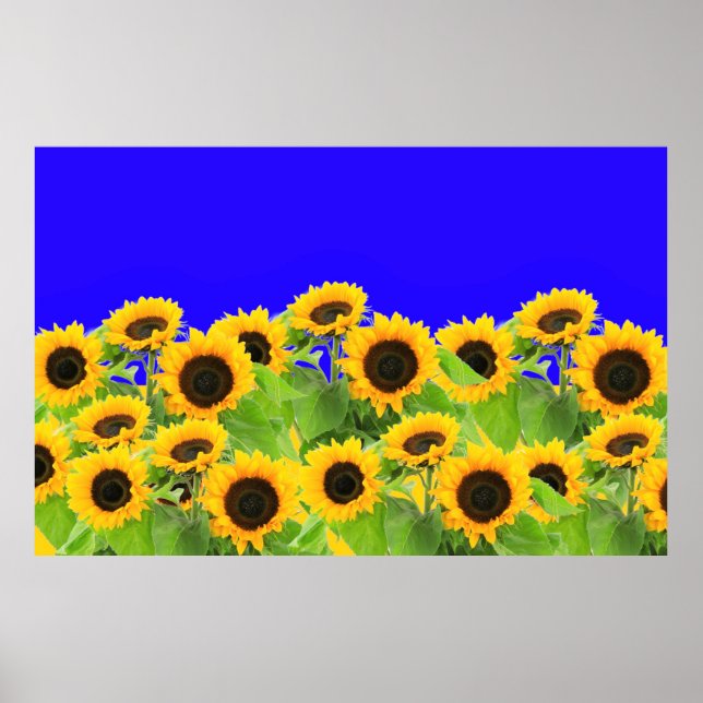 Poster Ukraine Liberté Paix - Drapeau ukrainien Tournesol (Devant)