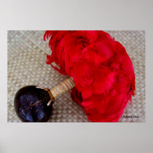 Poster Uli Uli et Feathers