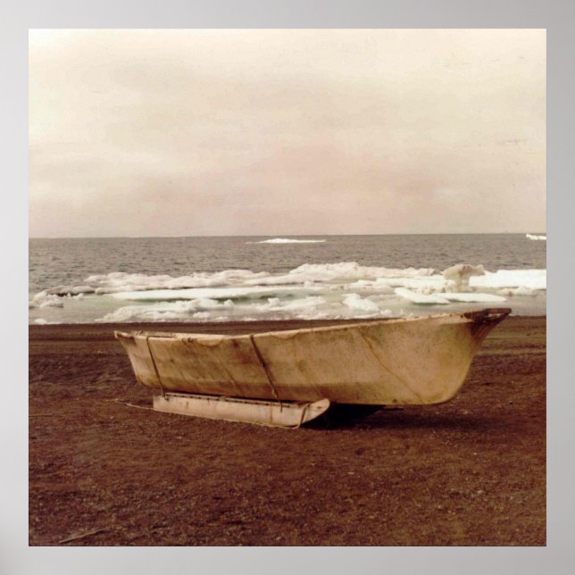 Poster Umiak Walrus Skin Whalers Bateau Photo Conçu (Devant)