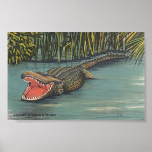 Poster Un alligator affamé en Floride