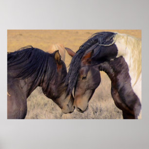 Poster Un amour des chevaux